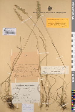 LE 01239133