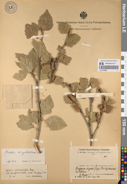 LE 01199039