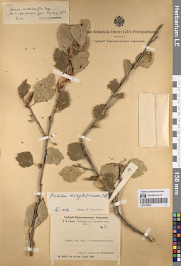 LE 01199048