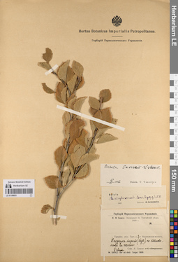 LE 01199051
