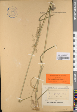 LE 01239004