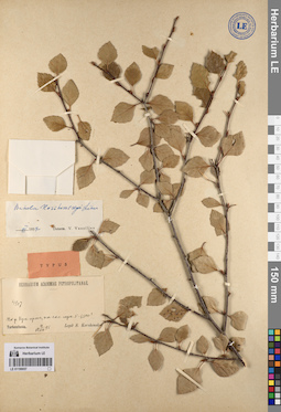 LE 01199057