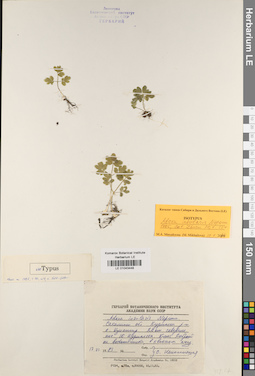LE 01043448