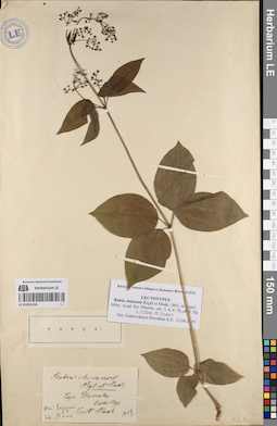 LE 01053150