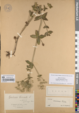 LE 01053157