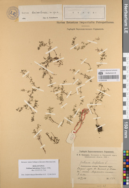 LE 01053158