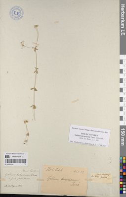 LE 01053160