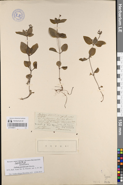 LE 01056611
