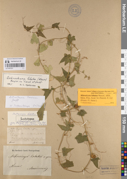 LE 01057221