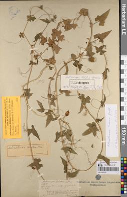 LE 01057222