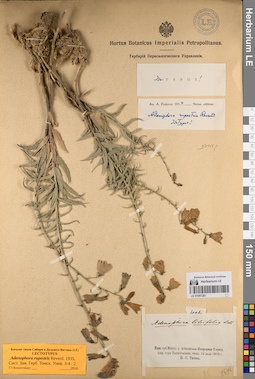 LE 01057281