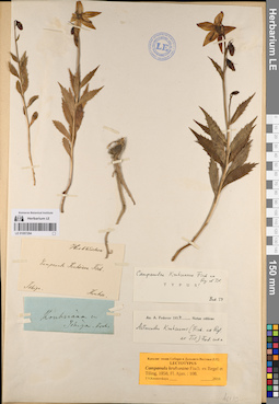 LE 01057294
