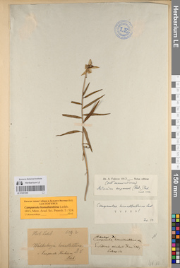 LE 01057295