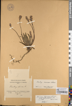 LE 01057551
