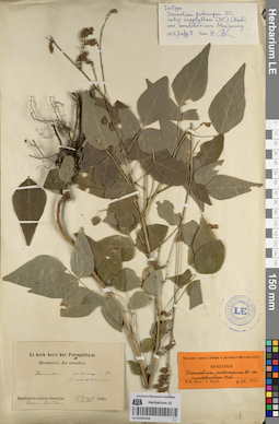 LE 01053258
