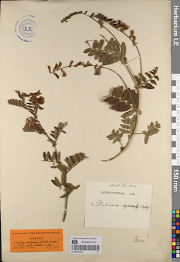 LE 01053260