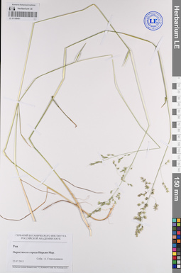 LE 01106461