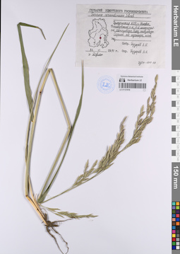 LE 01137416
