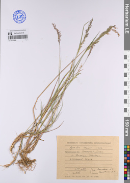 LE 01137949