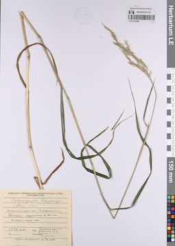LE 01137960