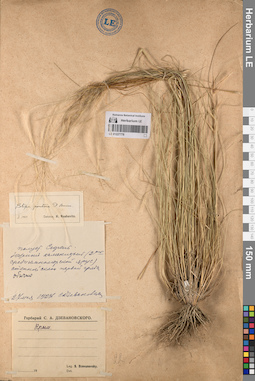 LE 01227778