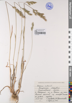 LE 01227801