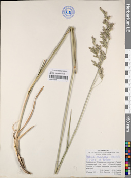 LE 01227805