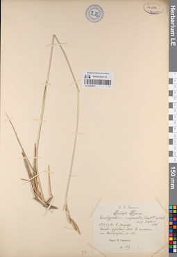 LE 01227827
