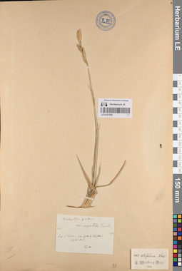 LE 01227829