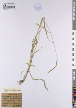 LE 01175794