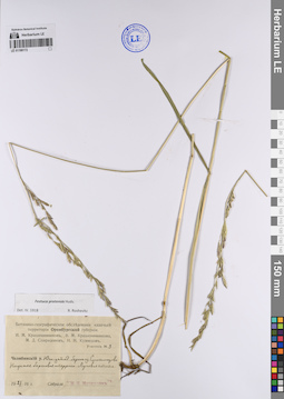 LE 01199172
