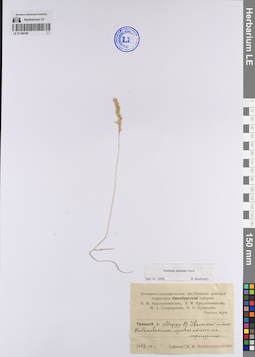 LE 01199198