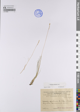 LE 01199200