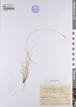 LE 01199228