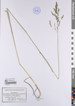 LE 01201312
