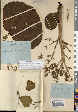 LE 01070276