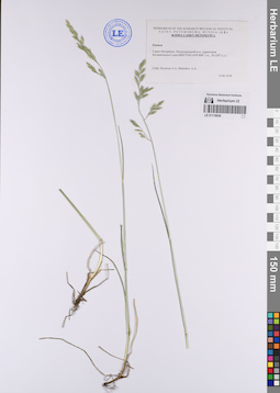 LE 01119036