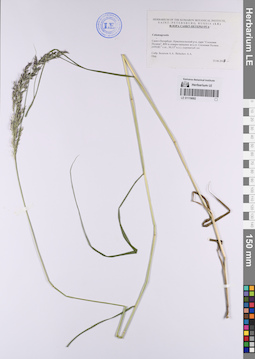 LE 01119092