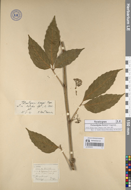 LE 01070373
