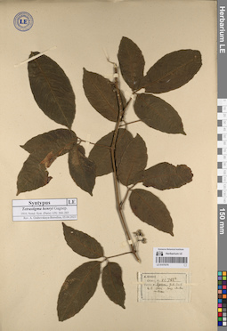 LE 01070376