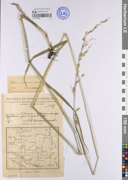 LE 01177406