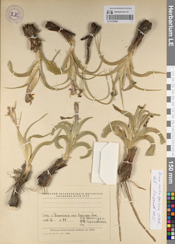 LE 01236889