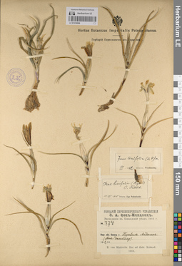 LE 01236906
