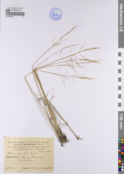 LE 01199243