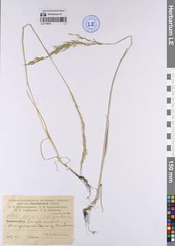 LE 01199247