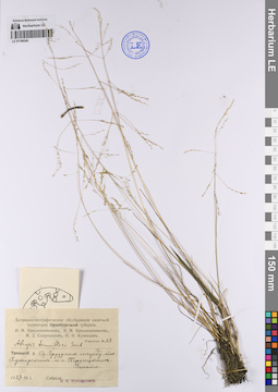 LE 01199248