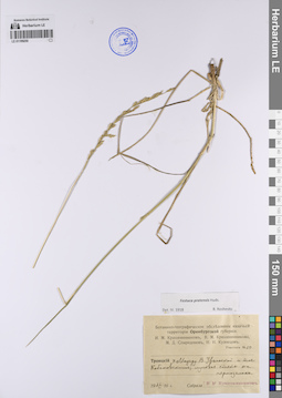 LE 01199250