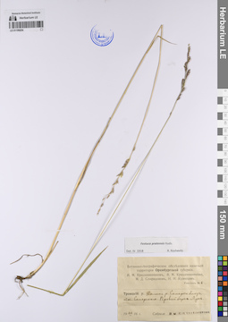 LE 01199254
