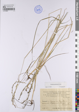 LE 01199255