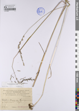 LE 01199257